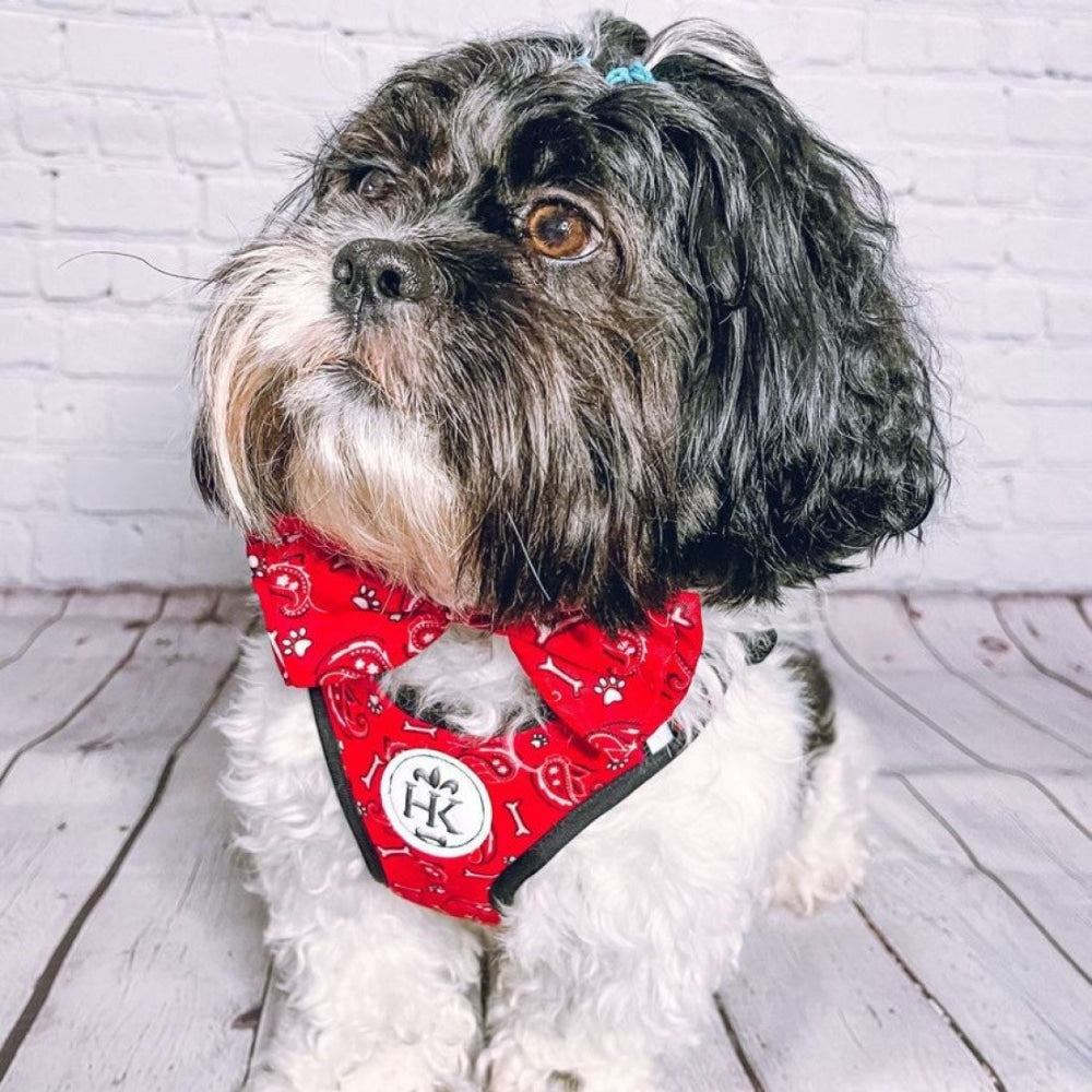 Bone-Dana Red Bow Tie