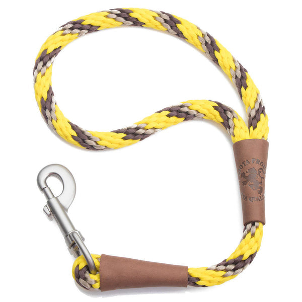 Snap Leashes - Tri-Color Series