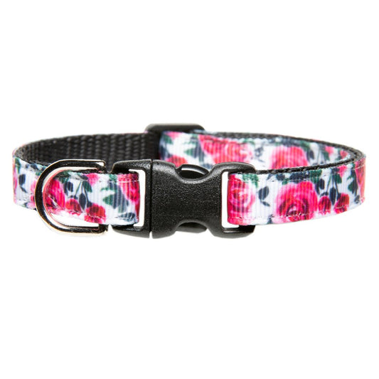 The Best Buds Collar