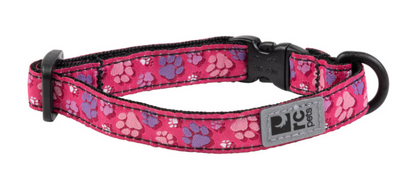 Kitty Breakaway Collar