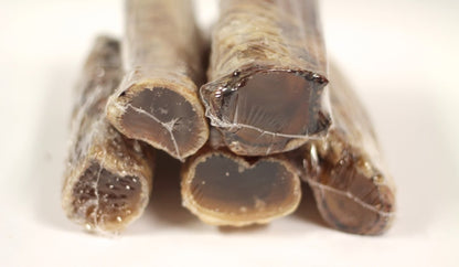 6" Beef Trachea (Bulk - Shrinkwrapped)- Pack of 25