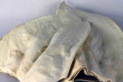 Cow Ears (Bulk) - Pack of 25