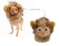 Lion Mane - Cat