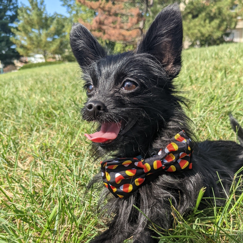 Candy Corn Bow Tie