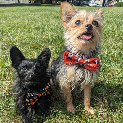 Candy Corn Bow Tie