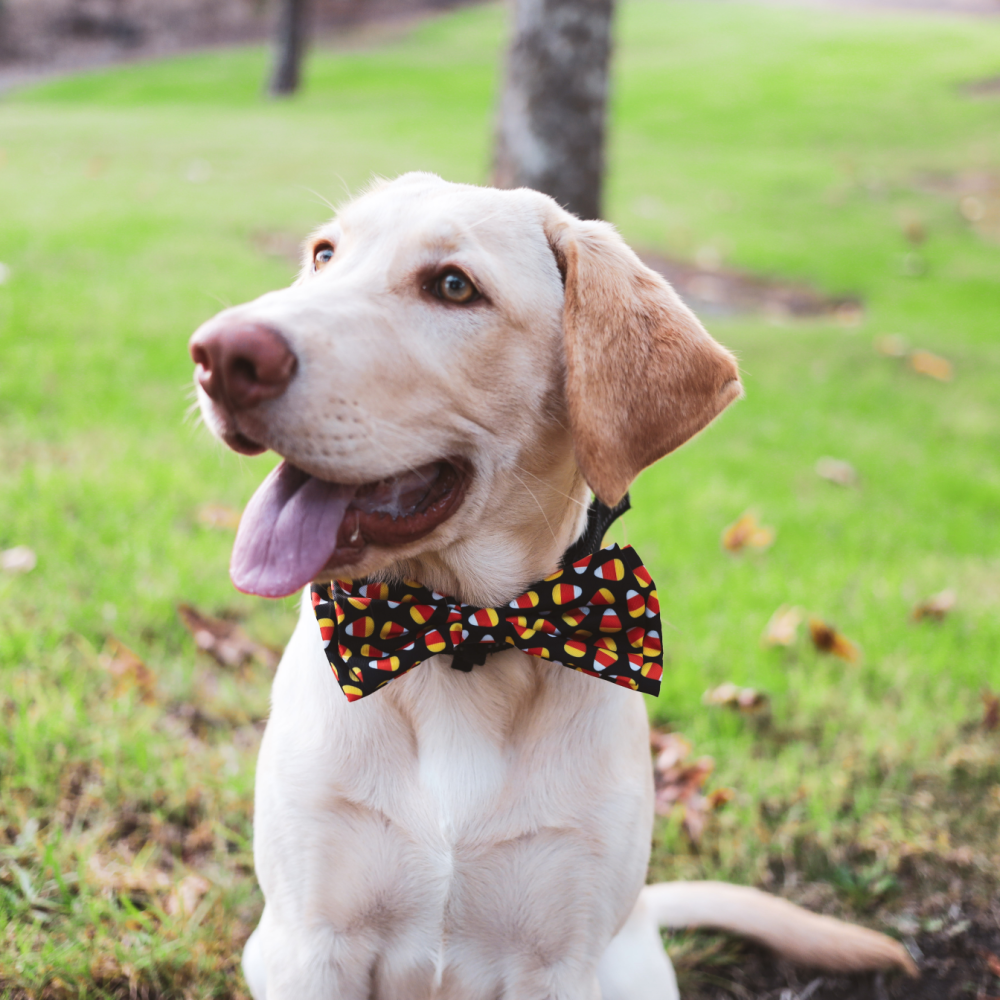 Candy Corn Bow Tie