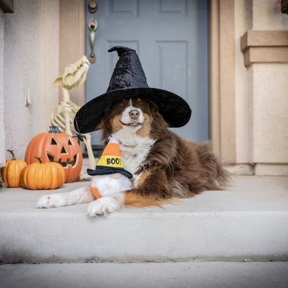 Candy Corn Gnome Dog Toy