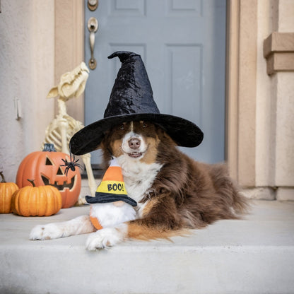 Candy Corn Gnome Dog Toy
