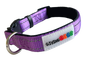Neoprene Padded Nylon Dog Collar