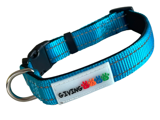 Neoprene Padded Nylon Dog Collar