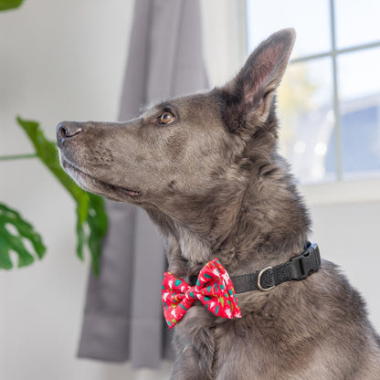 Christmas Trees Bow Tie