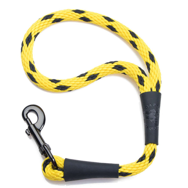 Snap Leashes - Twist Series ("Double Colors")