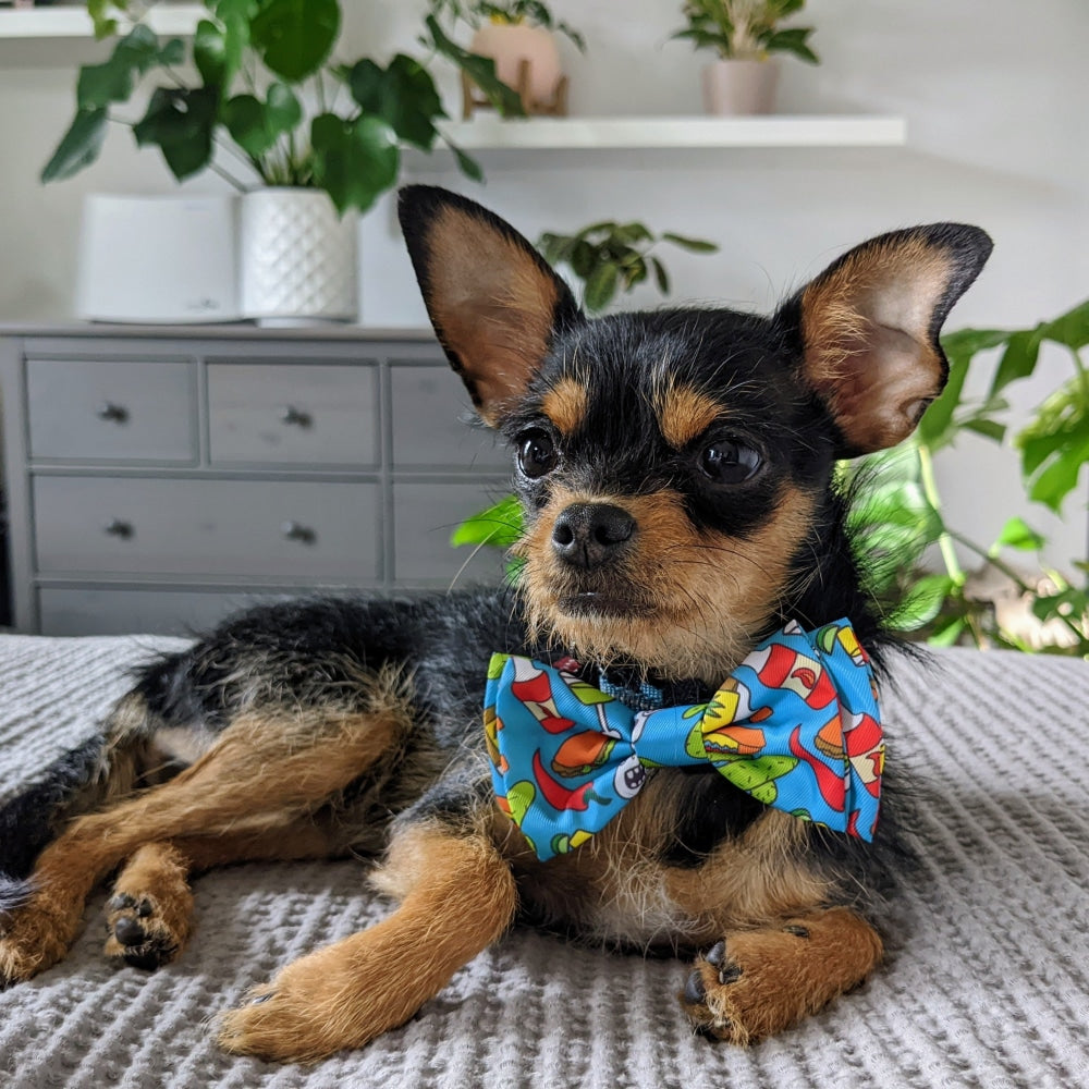 Cinco Fiesta Bow Tie - 30% Off