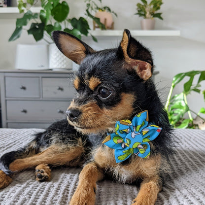 Cinco Fiesta Pinwheel - 30% Off