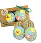 Easter Cookies- Little Nests Gift Box