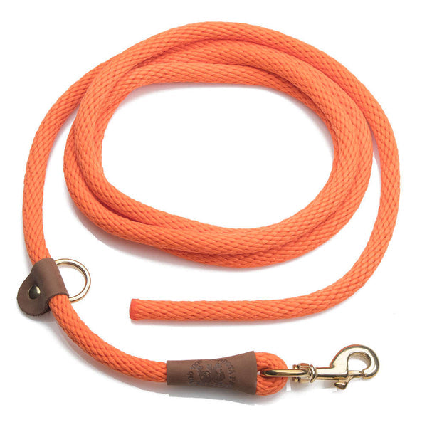 EZ Trainer Lead (Training Gear)
