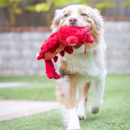 Slappies® Claude Lobster Dog Toy