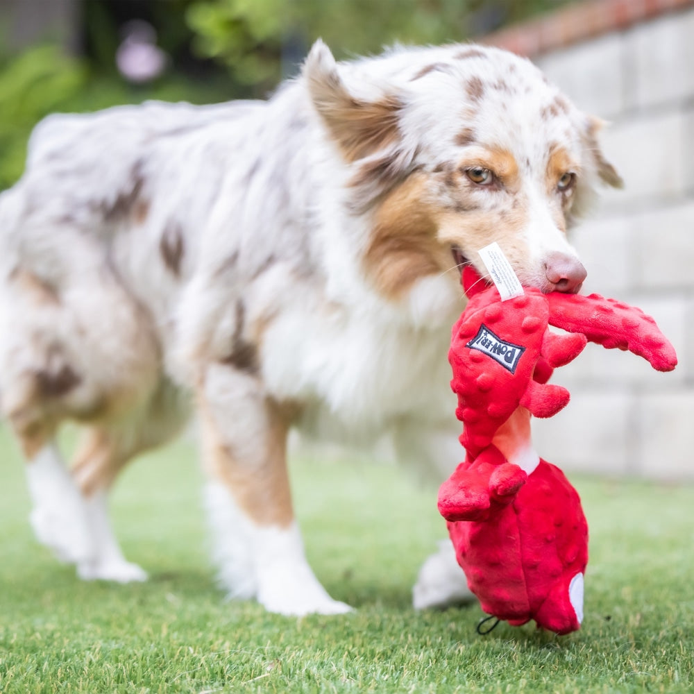 Slappies® Claude Lobster Dog Toy