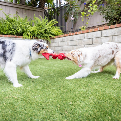Slappies® Claude Lobster Dog Toy