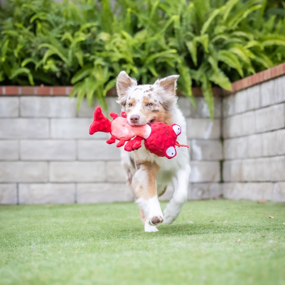 Slappies® Claude Lobster Dog Toy