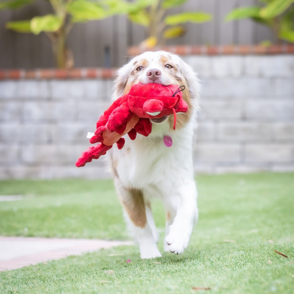 Slappies® Claude Lobster Dog Toy