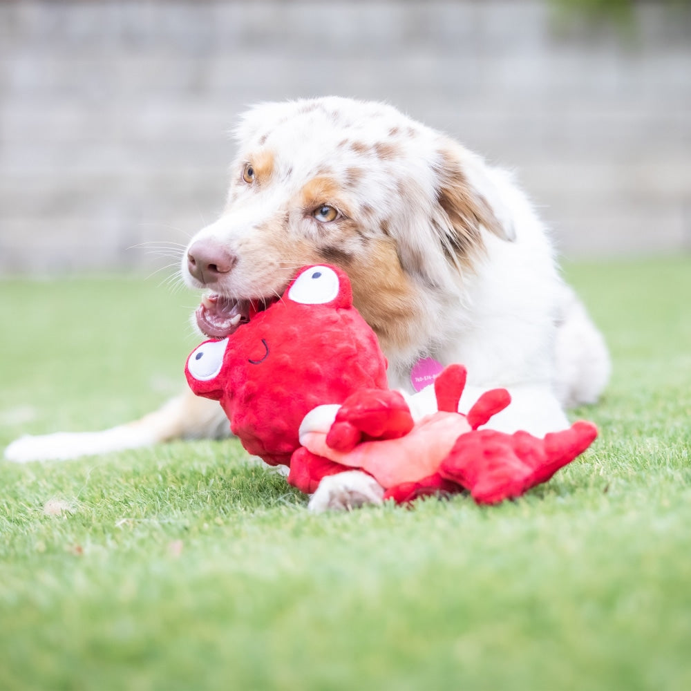 Slappies® Claude Lobster Dog Toy