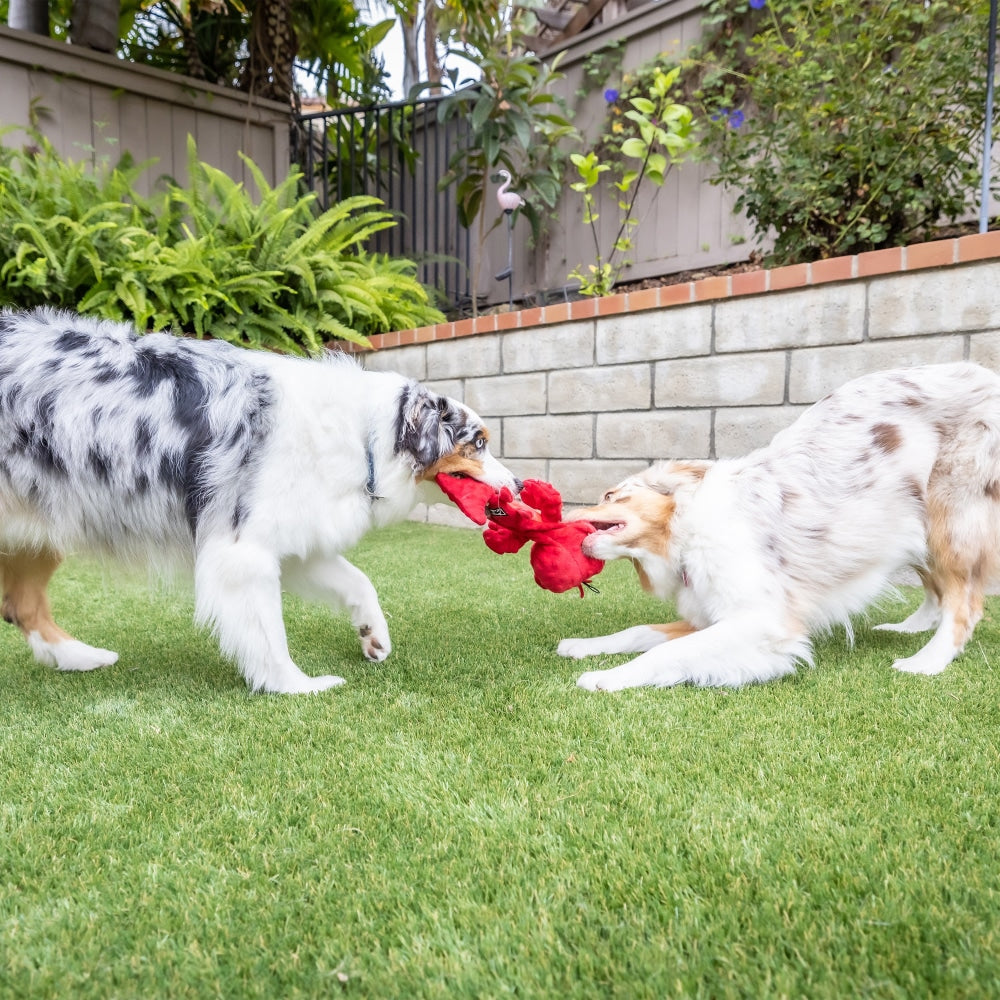 Slappies® Claude Lobster Dog Toy