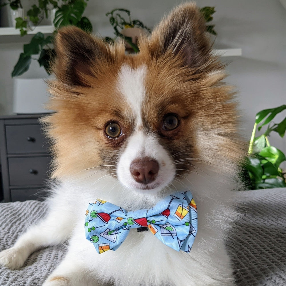 Cocktail Party Bow Tie
