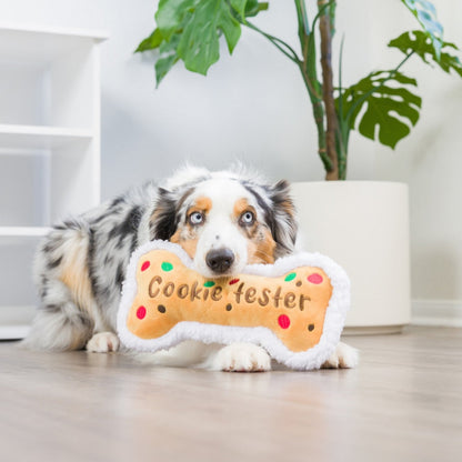 Cookie Tester Bone Dog Toy
