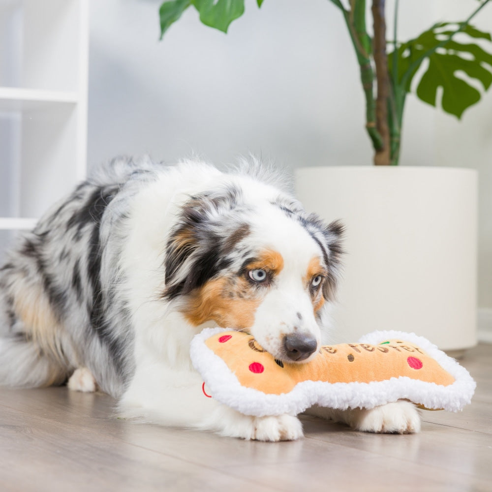 Cookie Tester Bone Dog Toy