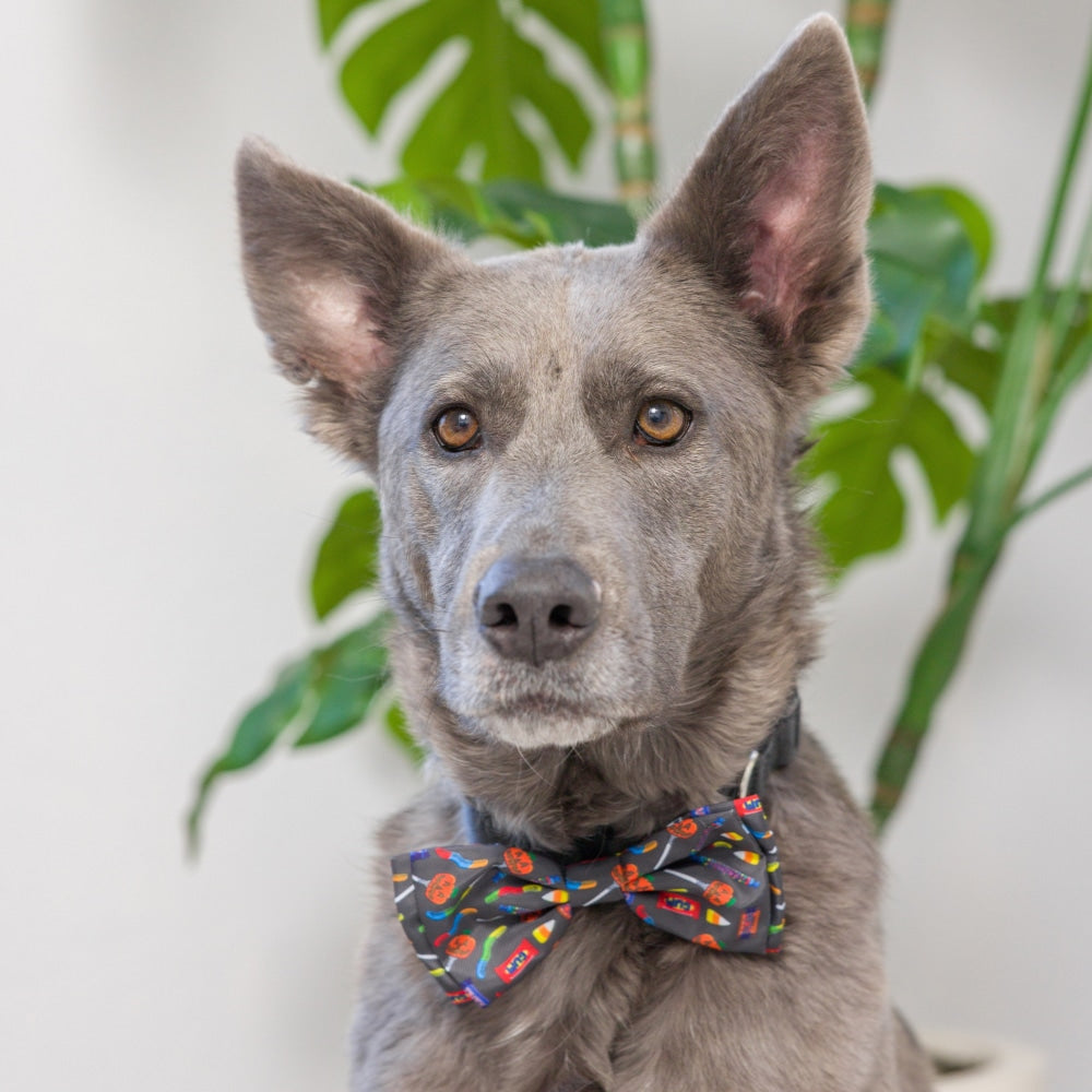 Creepy Candy Bow Tie - 30% Off