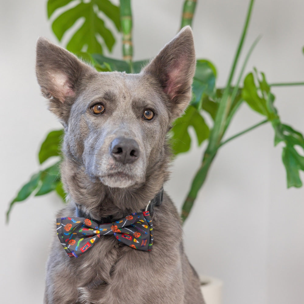Creepy Candy Bow Tie - 30% Off