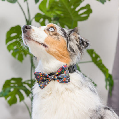 Creepy Candy Bow Tie - 30% Off