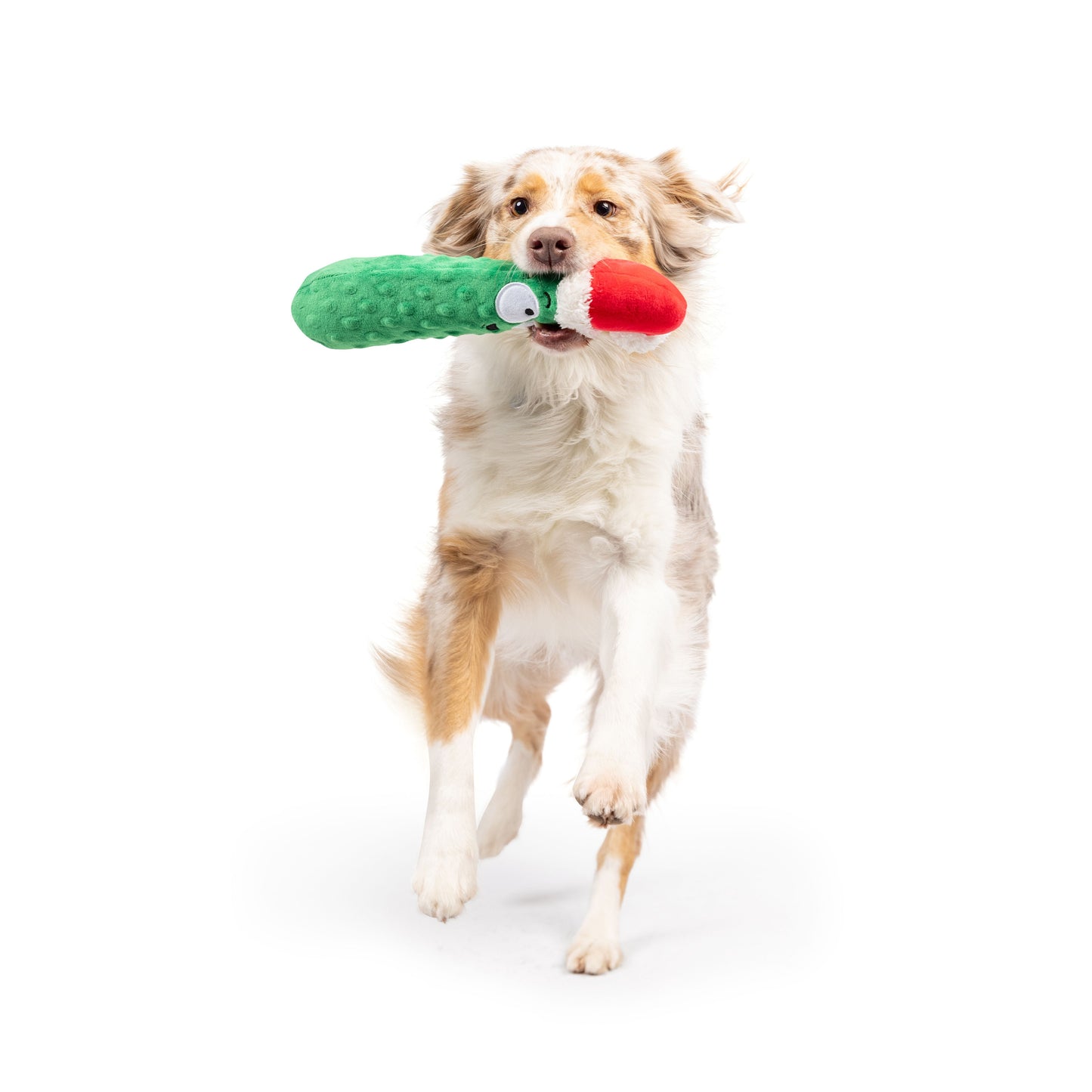 Fetchies® Dilly Claus Dog Toy