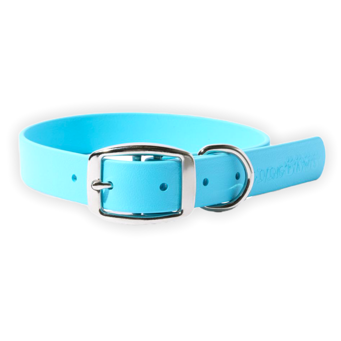 Bright & Bold Vegan Leather Collar
