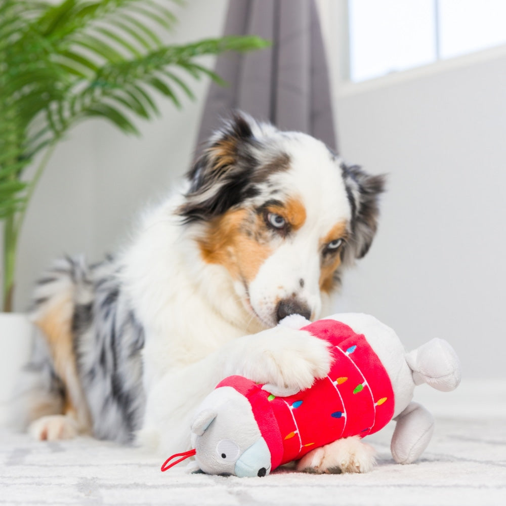 Deck The Bear Dog Toy