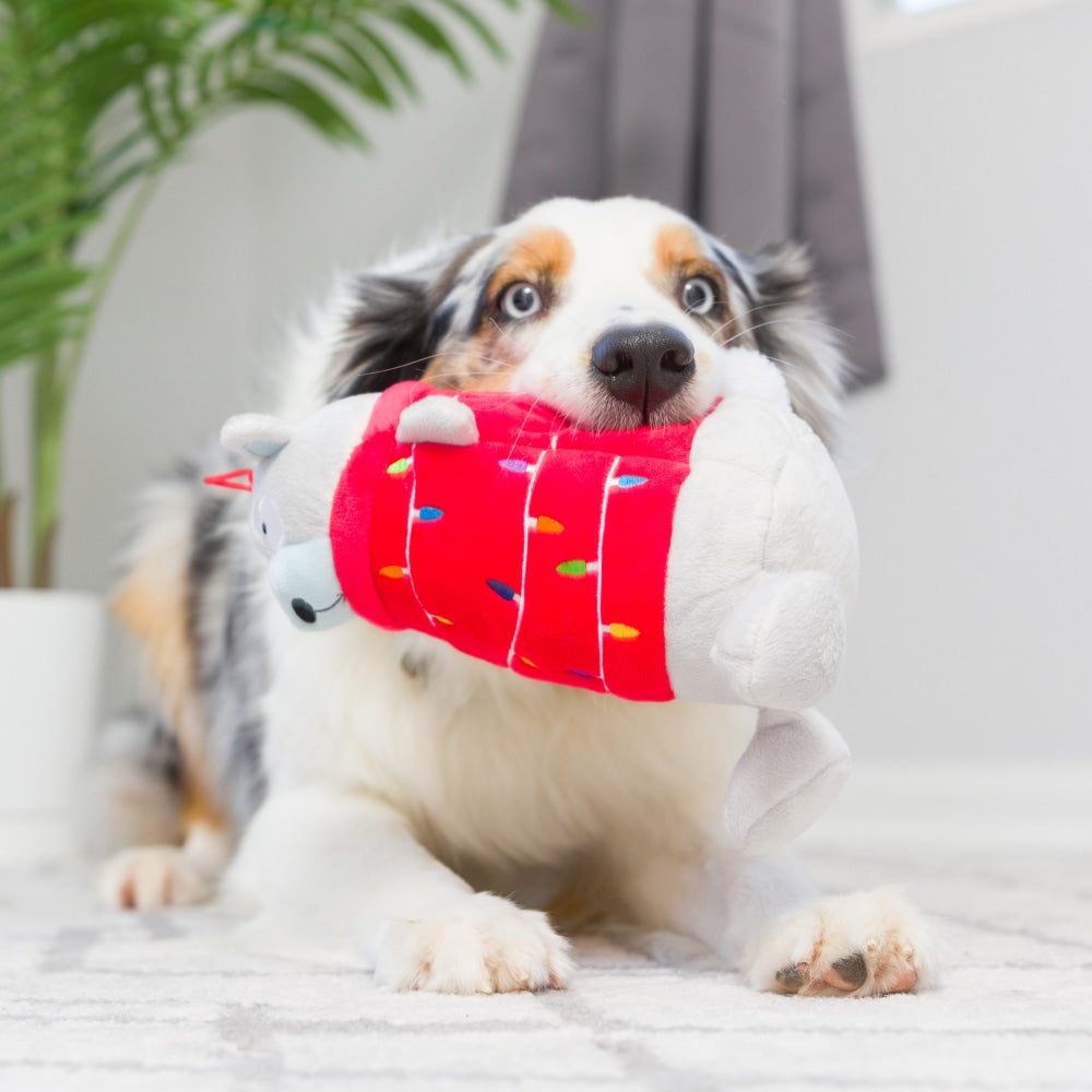 Deck The Bear Dog Toy