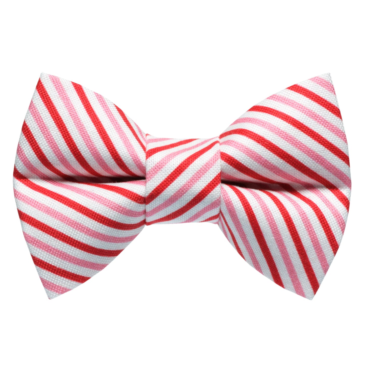 The Made You Look - Bow Tie
