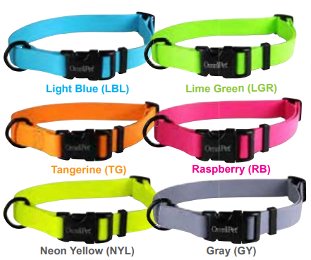 Carnival Collars