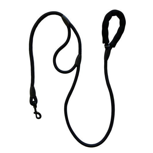 6' Dual-Handle Rope Leash