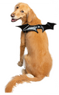 Dog Bat Wing Harness Attachment