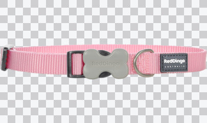 Buckle Bone Dog Collars - Classic (Solid)