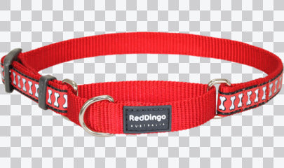 Martingale Dog Collars - Reflective