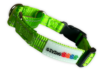 Giving Paws neon green martingale dog collar with buckle and reflective stitching
