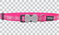 Buckle Bone Dog Collars - Paw Impressions