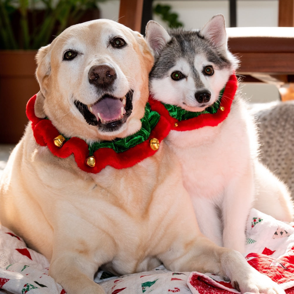 Elf Ruff