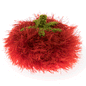 Oomaloo Pet Toy - Tomatoes
