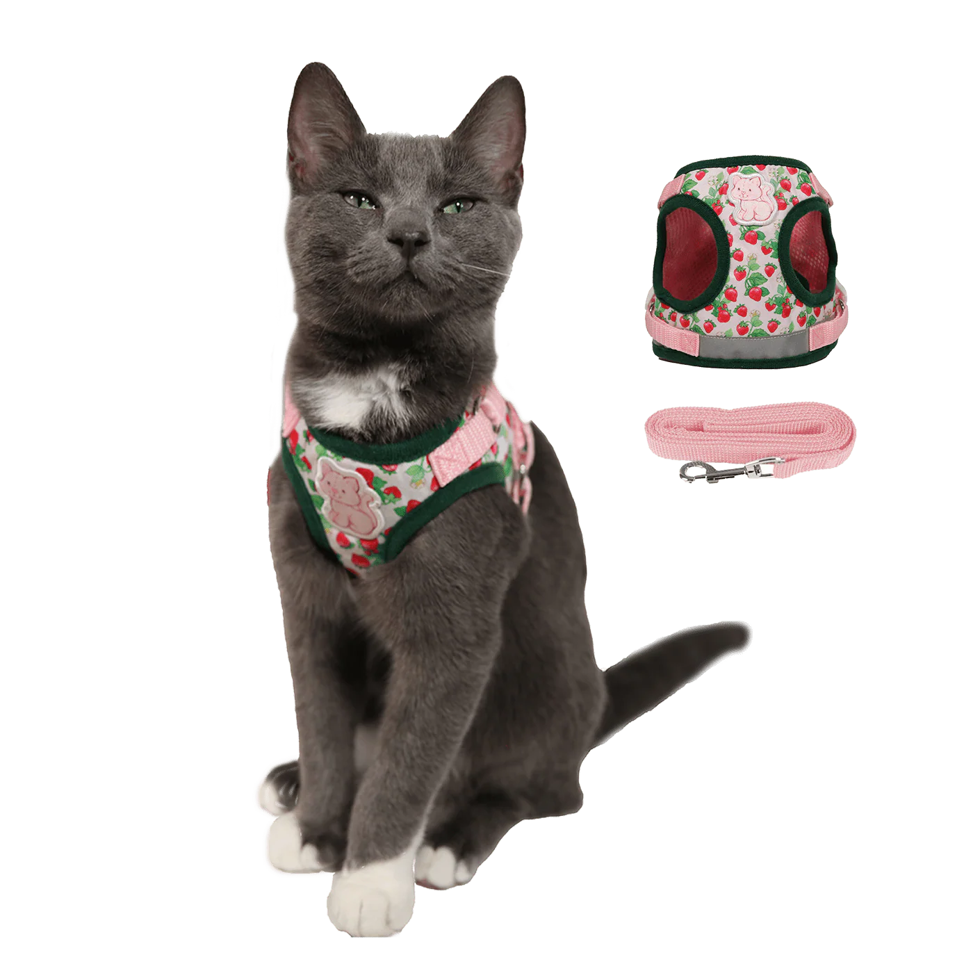 "The True Adventurer" Harness & Leash