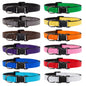 The Everyday Collar