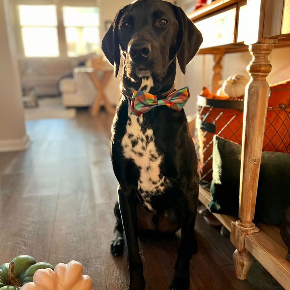 Fall Check Bow Tie